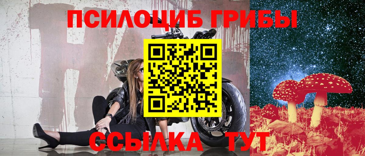 Псилоцибиновые грибы мухоморы Москва